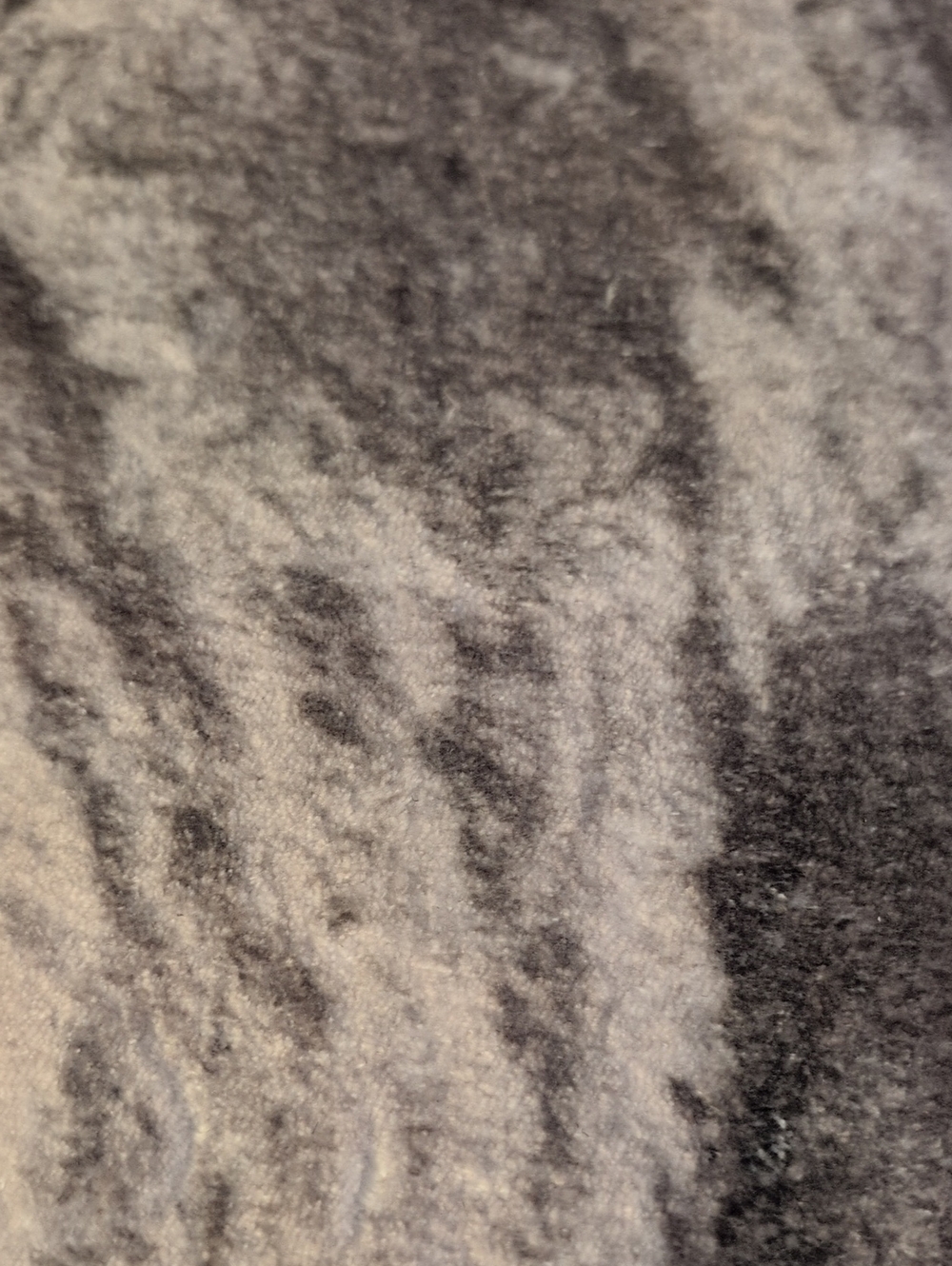 New Kitty Cat Rugs - Picture 9 of 9